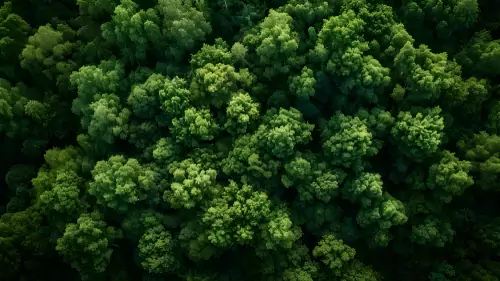 A Certified Carbon Neutral Organisation
