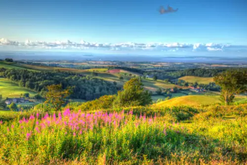 South West - Taunton